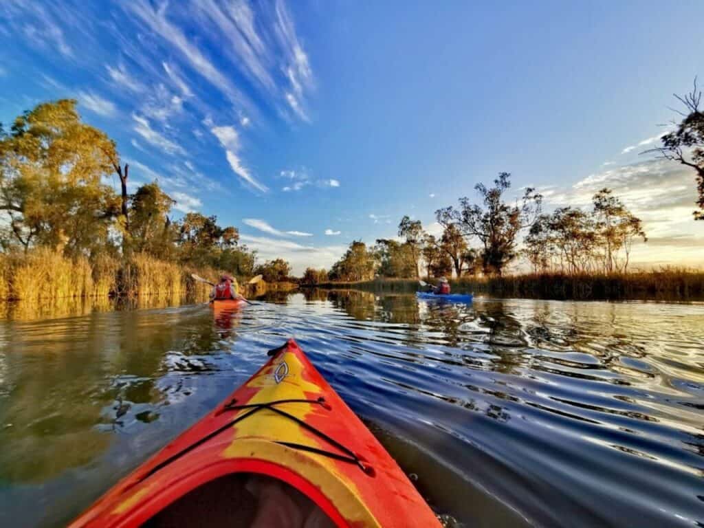 Kayaking the Murray River in Australia