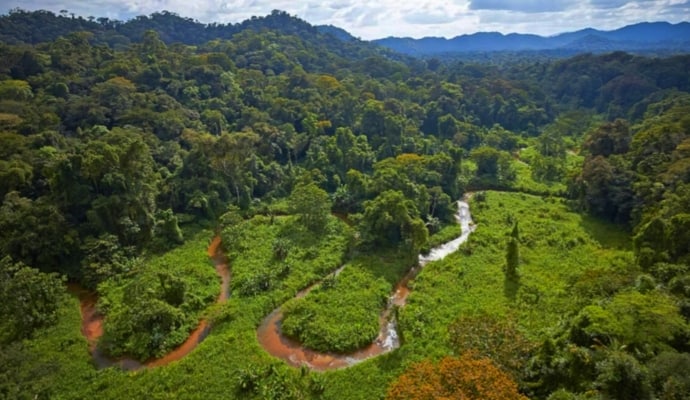 Ro Pltano Biosphere Reserve Honduras - Best places to visit in Honduras