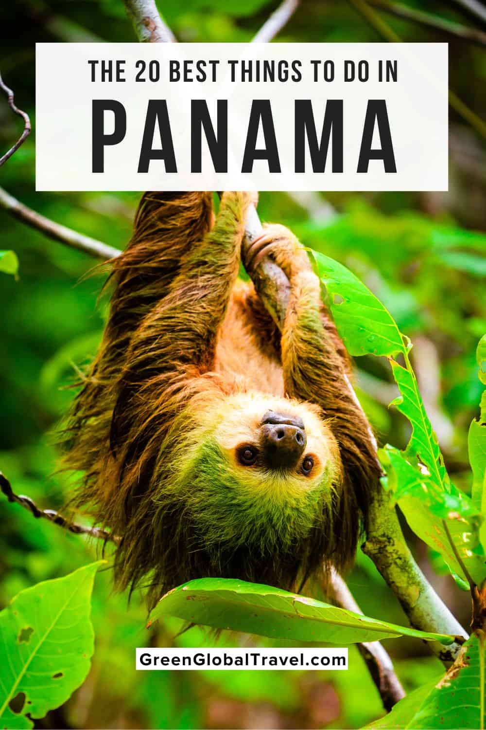 Our picks for the 20 Best Things to Do in Panama, Central America with a focus on Panama attractions geared to nature and history lovers. | things to do in panama city panama | what to do in panama | panama things to do | attractions in panama | places to visit in panama | what is panama known for | best places to visit in panama | destinations in panama | panama activities | panama destinations | panama in central america | panama places to visit | things to do in bocas del toro |
