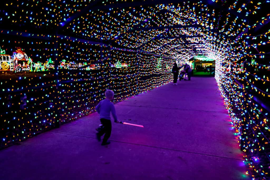 Lights of Hope at Hobgood Park in Woodstock GA