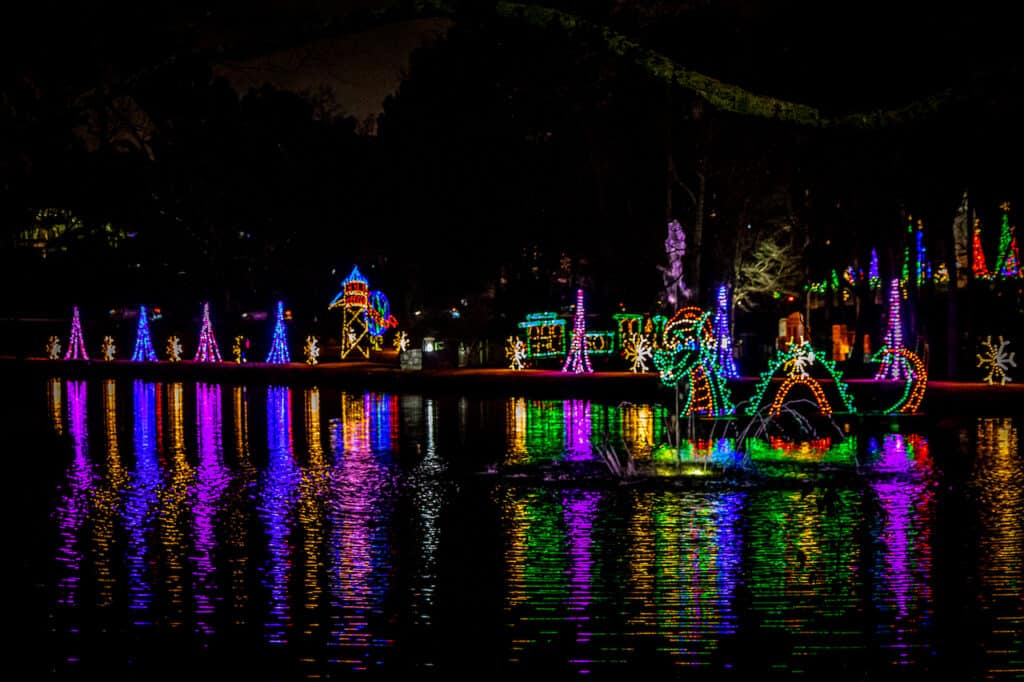 Sea dragon at Lights of Life in Marietta GA