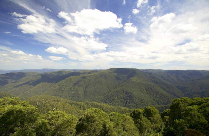 Thunderbolts Lookout in Barrington Tops National Park NSW