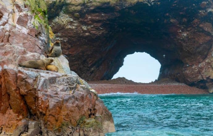 South America places to visit -Ballestas Islands Peru