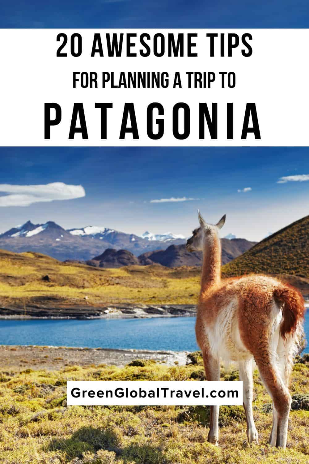 20 Awesome Tips for Planning Your Patagonia Trip including what to expect, things to know before you go, places to visit, and choosing tours.