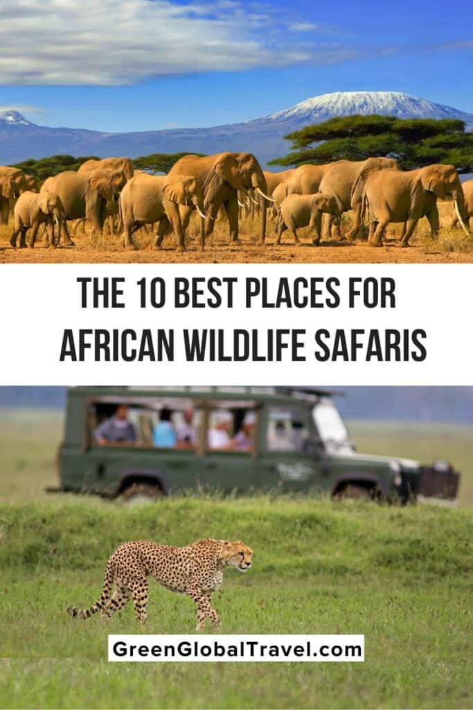 The 10 Best Places for African Safari Tours Green Global Travel