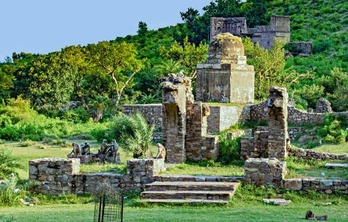 Top National Parks in India - Kankwari Fort & Monkeys in Sariska National Park