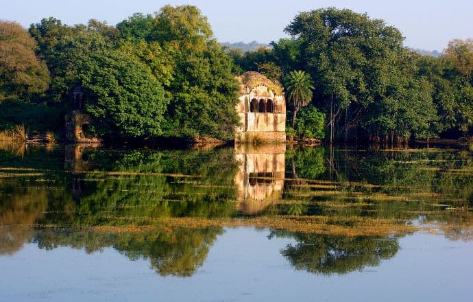 Best tiger reserve in India - Ranthambore National Park, India