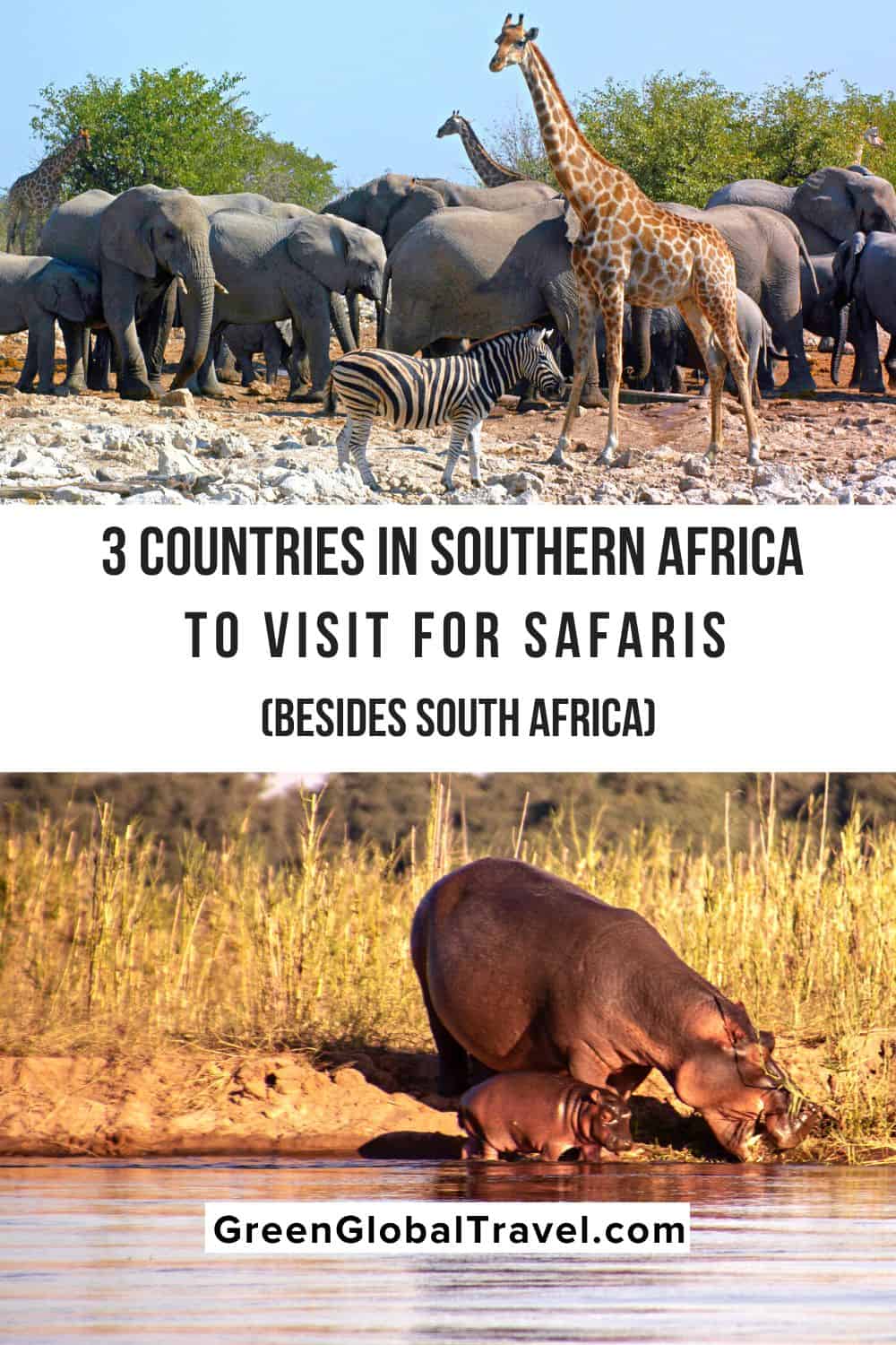 3 pays d'Afrique australe à visiter (en plus de l'Afrique du Sud) pour des safaris animaliers.  Le Botswana, la Namibie et la Zambie sont toutes des destinations en plein essor pour un safari en Afrique australe.  |  pays d'afrique du sud |  meilleurs pays d'afrique |  pays d'afrique australe |  région afrique du sud |  pays d'afrique australe |  pays d'afrique du sud |  meilleurs pays à visiter en afrique |  pays d'afrique australe |  meilleurs pays pour les safaris en afrique |  région afrique australe |