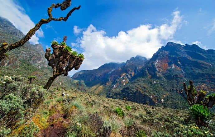 Rwenzori Mountains National Park- Mountains of the Moon between Uganda and Congo