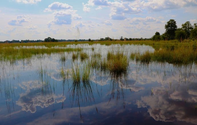 Namibia National Park - Caprivi Strip in Bwabwata National Park