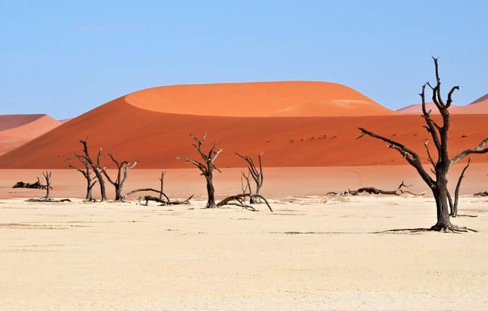 Namib Naukluft National Park Namibia