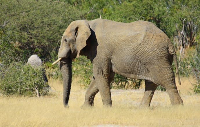 Parks in Namibia -Khaudum National Park 