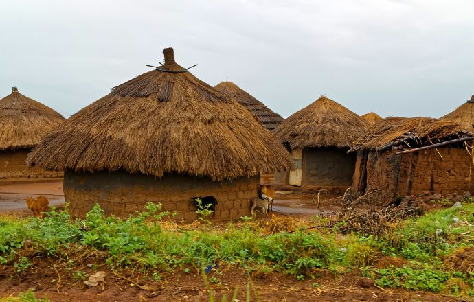 Traditional Thatched Roof Huts in Uganda
