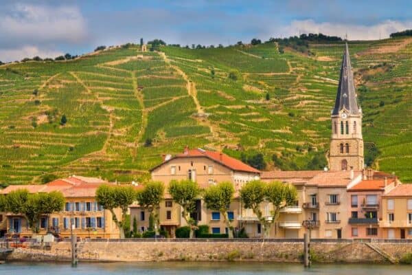 Tournon sur Rhone River Town & Vineyard in France