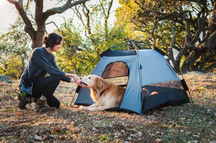 Pet PLAY outdoor dog tent