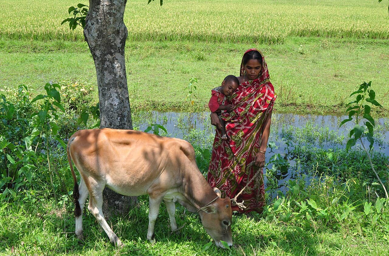 Woman in Bangladesh