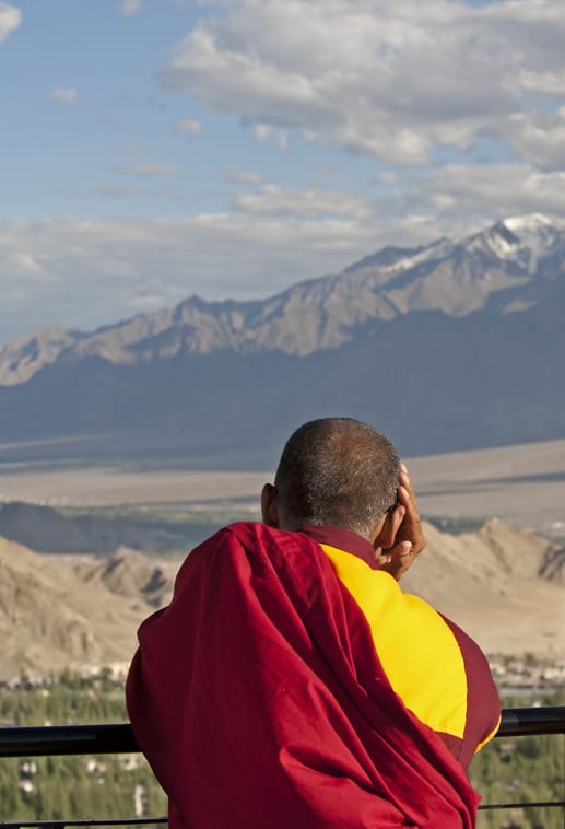 Leh Pensive monk V