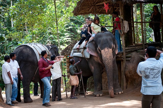 15 Harmful Traditions - Elephant Rides