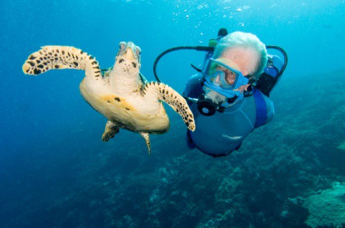 Jean_Michel_Cousteau_Turtle