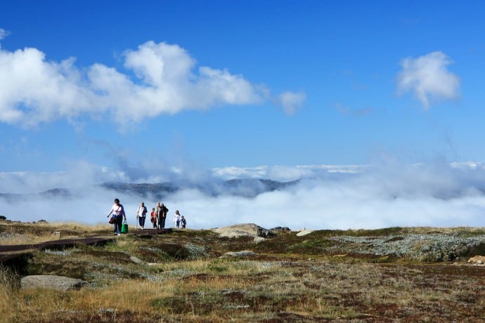 Kosciuszko Nemzeti Park, a 10 nagyszerű ausztrál nemzeti park egyike a világutazás bakancslistáján