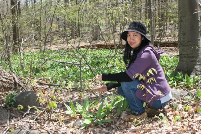 Ava Chin on Urban Foraging