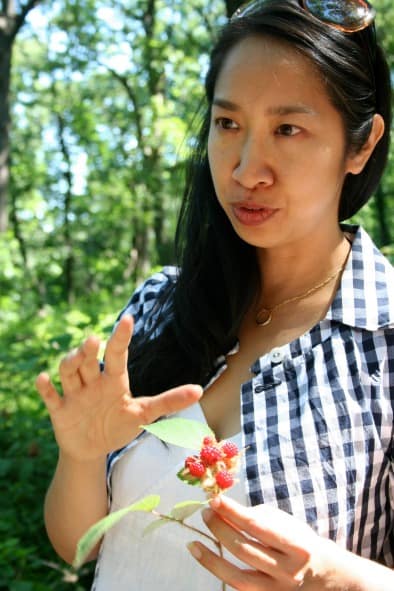 Ava Chin.wineberries