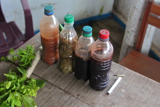 Ayuahuasca & Other Shamanic Tinctures