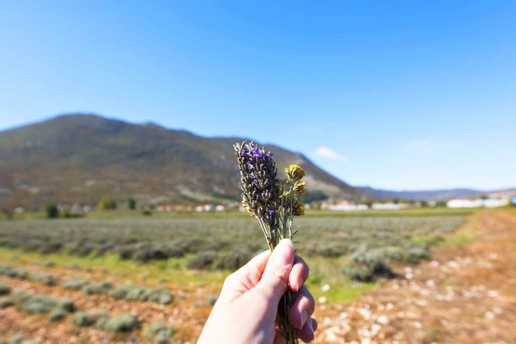 Balkan Travel Spending A Week On The Via Dinarica Trail