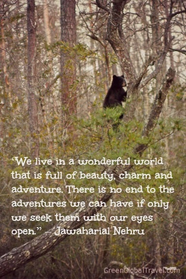 The 25 Most Inspirational Travel Quotes The 25 Most Inspirational Travel Quotes