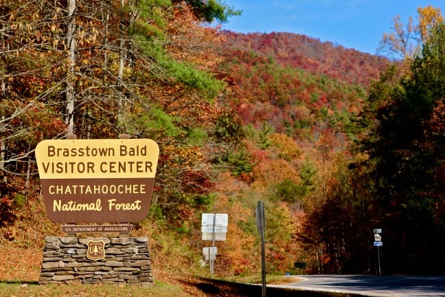 Autum Activities Atlanta Hiking Brasstown-Bald Chattahoochee National Forest