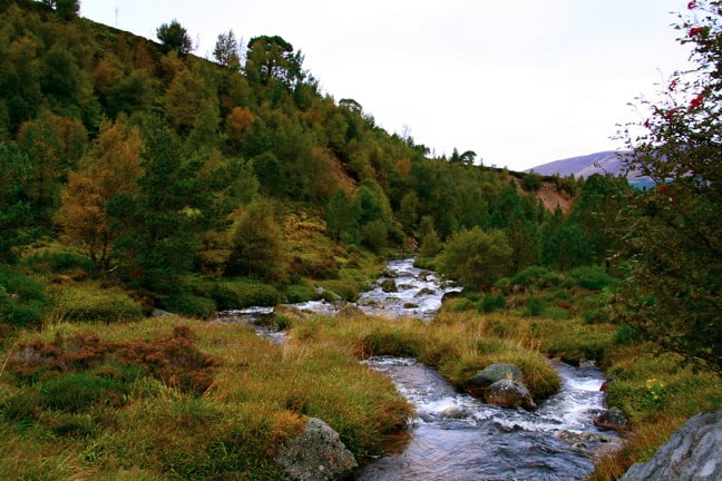 Cairngorm National Park, UK National PArks