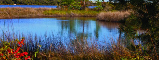 Camp Helen State Park