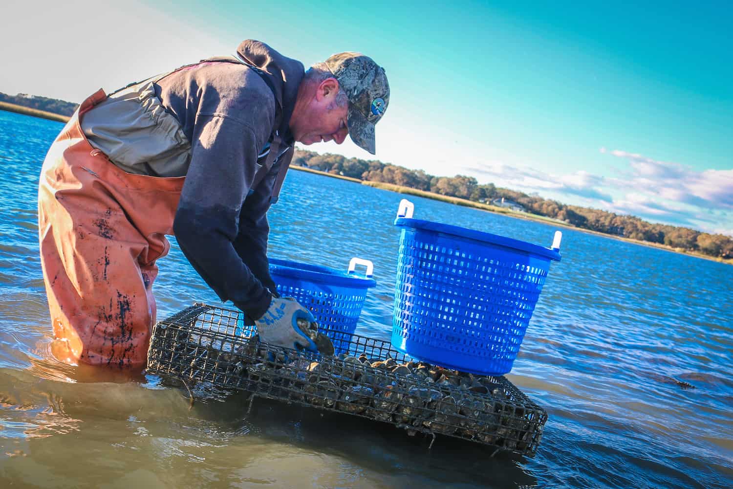 Captain Chris Ludford of Pleasure House Oysters