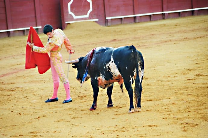 15 Harmful Traditions - Bullfight in Spain