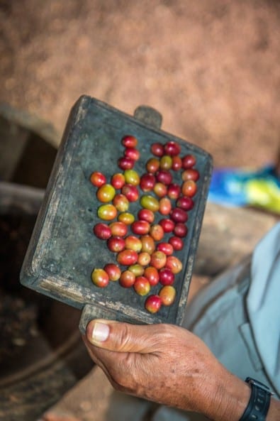 Coffee Beans photo by Bret Love