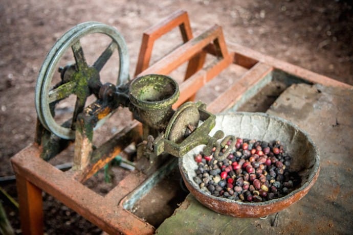 antique Coffee Grinder in the Galapagos Islands