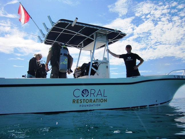 Coral Restoration Foundation Hosts Plantapalooza on World Oceans Day