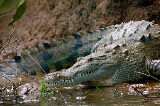 history of tourism in costa rica