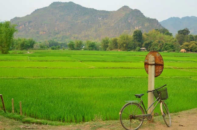 Cycling past Rice Paddies in Vietnam. Photo Credit Global Water Forum