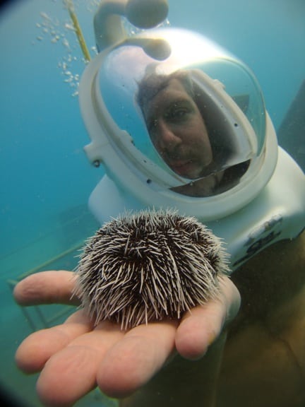 "Snuba" Diving at DePalm Island, Aruba