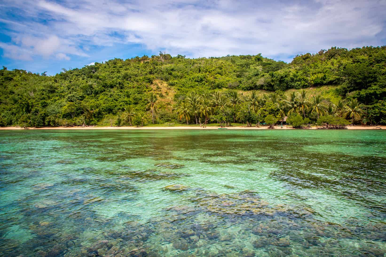 Things to Do in Coron, Palawan: Island Hopping Dimalanta Island