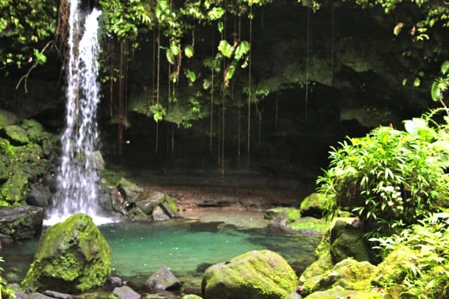 The Definition of Serenity: Alone at Emerald Pool, Dominica