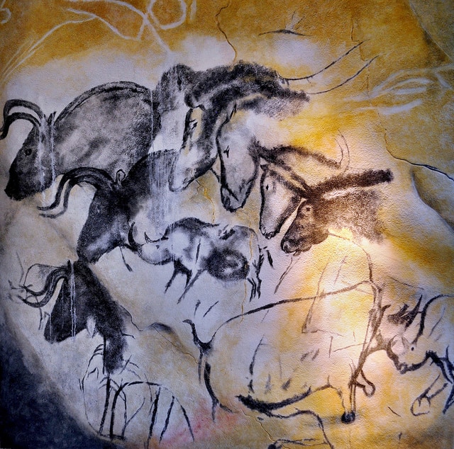 Etologic Horse Study in Chauvet's Cave, France