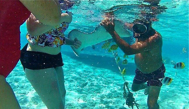 Feeding Rays in Bora Bora, Tahiti