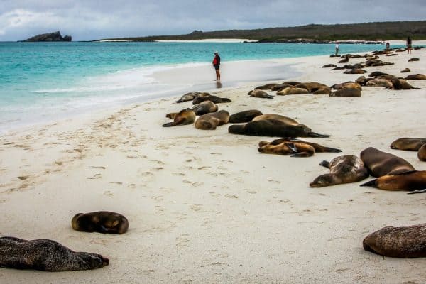 Facts about the Galapagos Islands