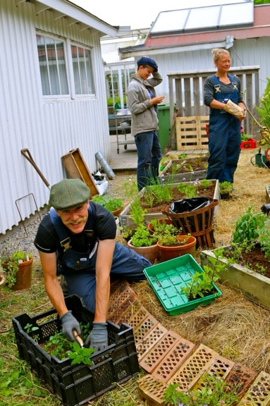 Gardening at Kosters Tradgardar (Kosters Garden) on South Koster Island, Sweden