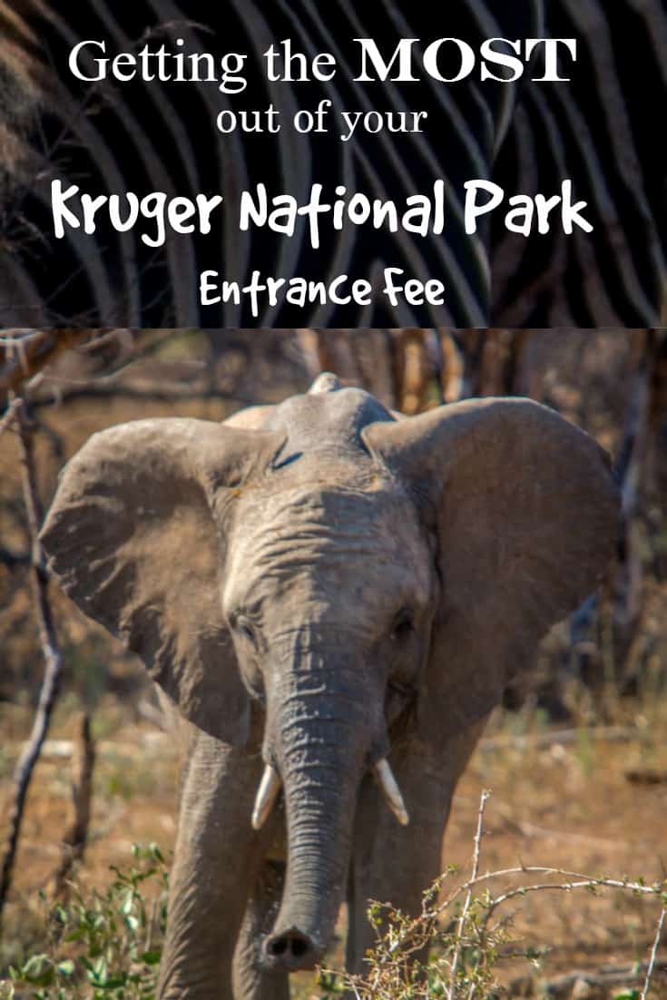 Getting the Most out of your Kruger National Park Entrance Fee