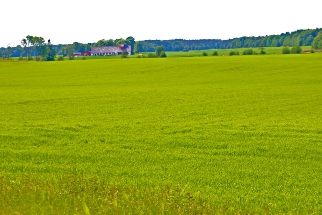 Green Pasture in Falkoping, West Sweden