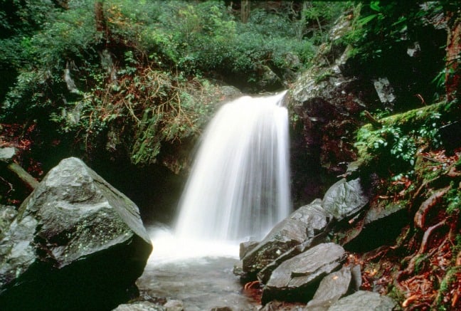 Grotto Falls near The Trillium Gap Trail - Great Smoky Mountains