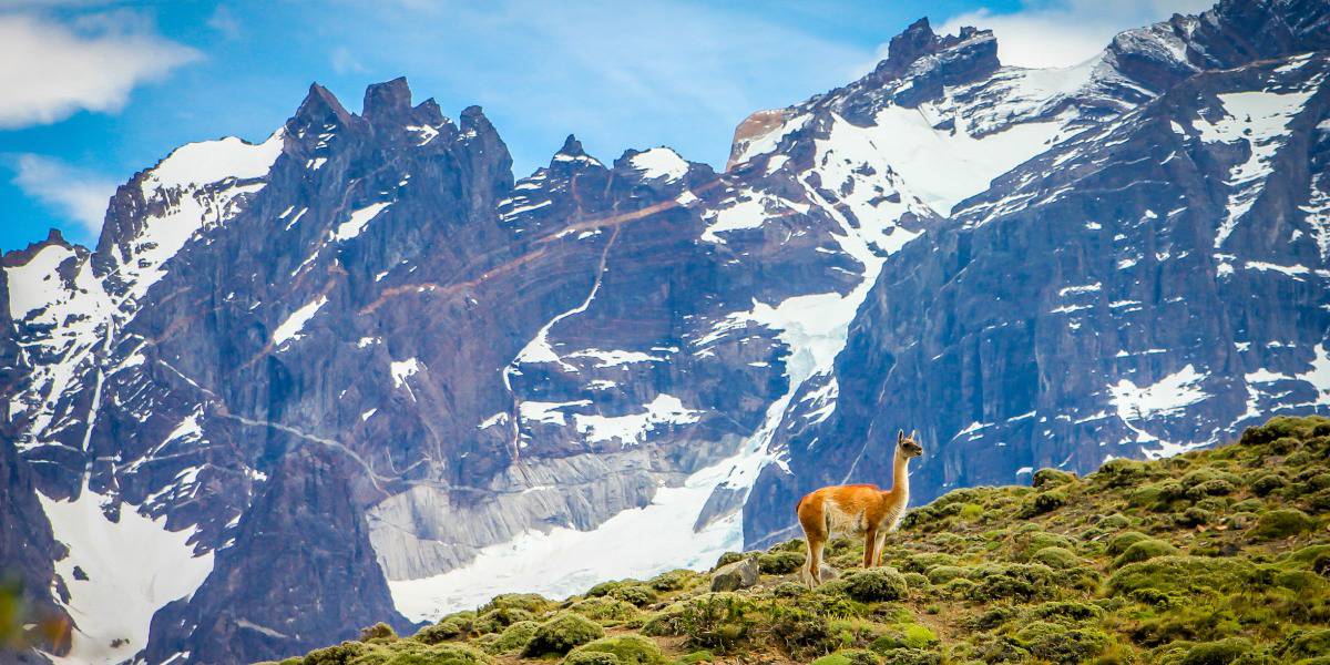 CHILE: The Road To Torres del Paine National Park